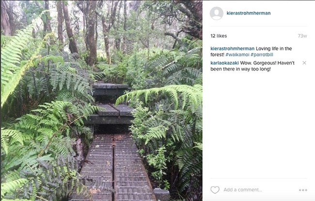Screenshot of Instagram Screenshot of Instagram