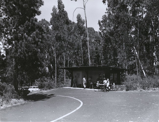 Hosmer Grove Shelter in 1962