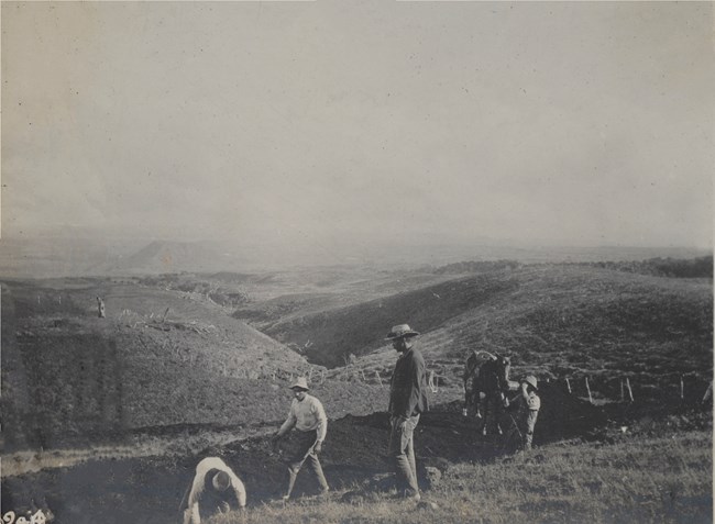 Paniolo Workers at Haleakala Ranch