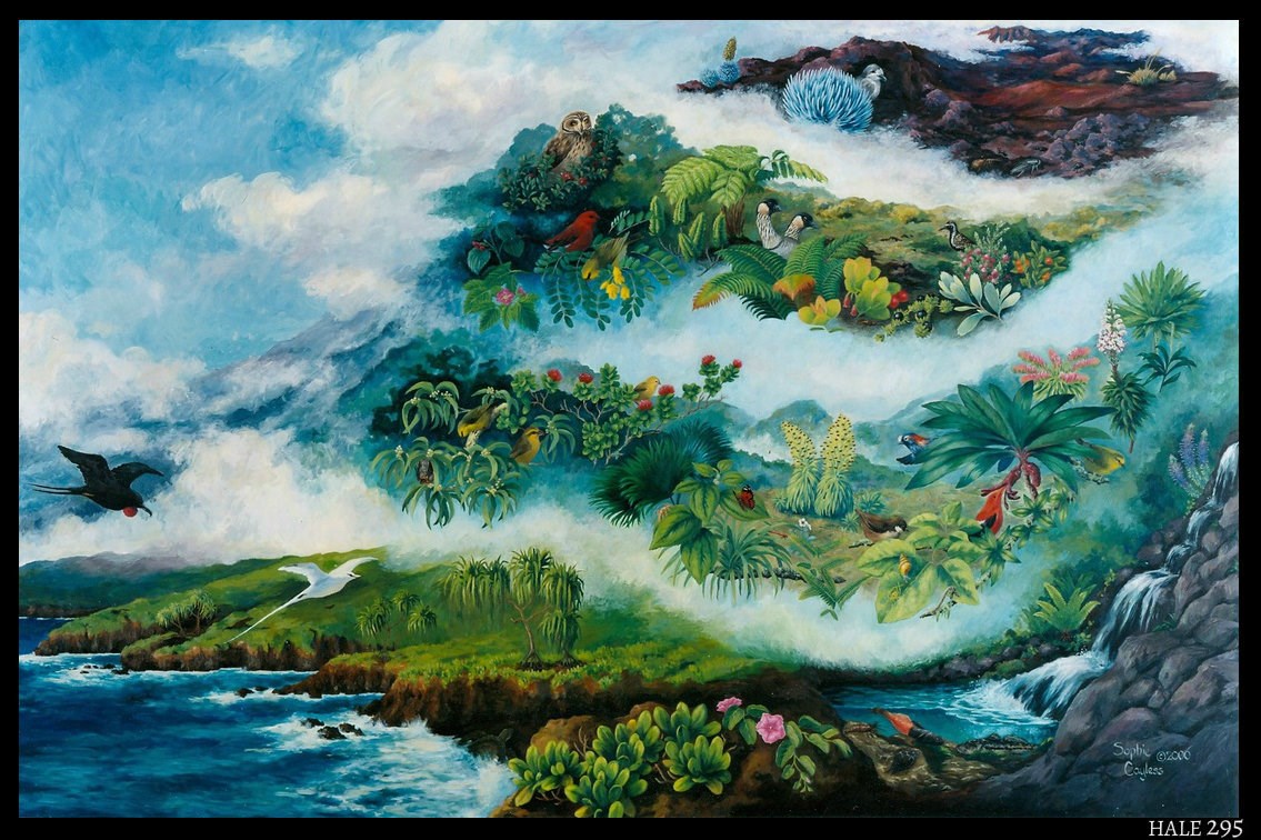 Haleakalā Life Zones and Native Species Mural