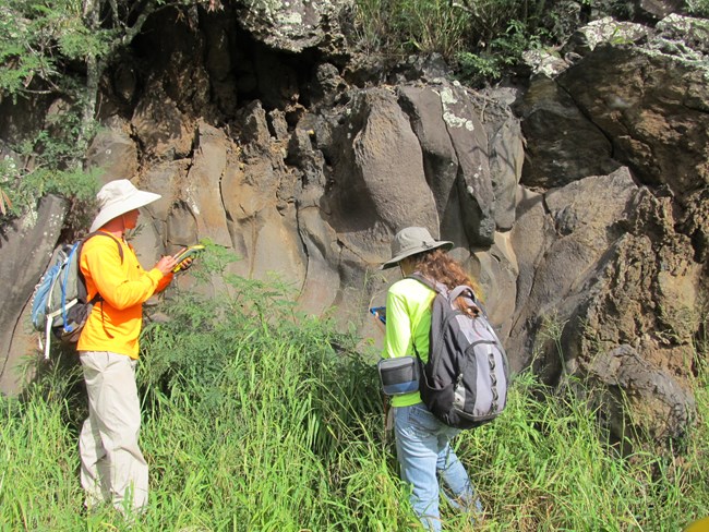 archeologist in nuu