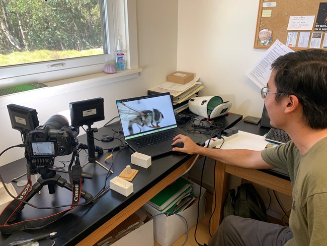 man looking at computer screen of a fly.