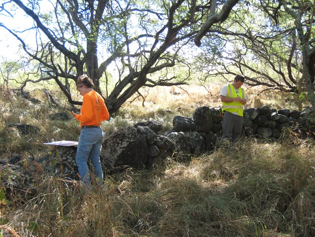 two staff examine a rock wall