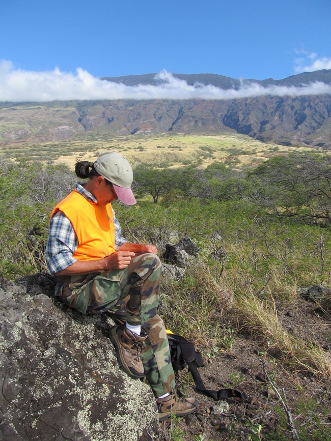 Archeologist records data at Nuu