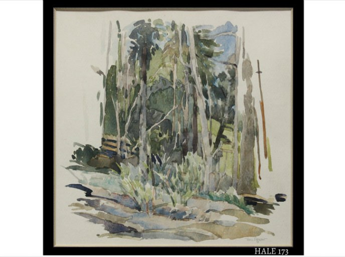 Hosmer Grove by Bruce McGrew