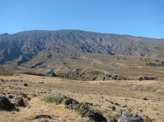 Nuʻu landscape with terraces, north towards crater rim