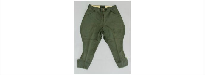 Park Ranger pants