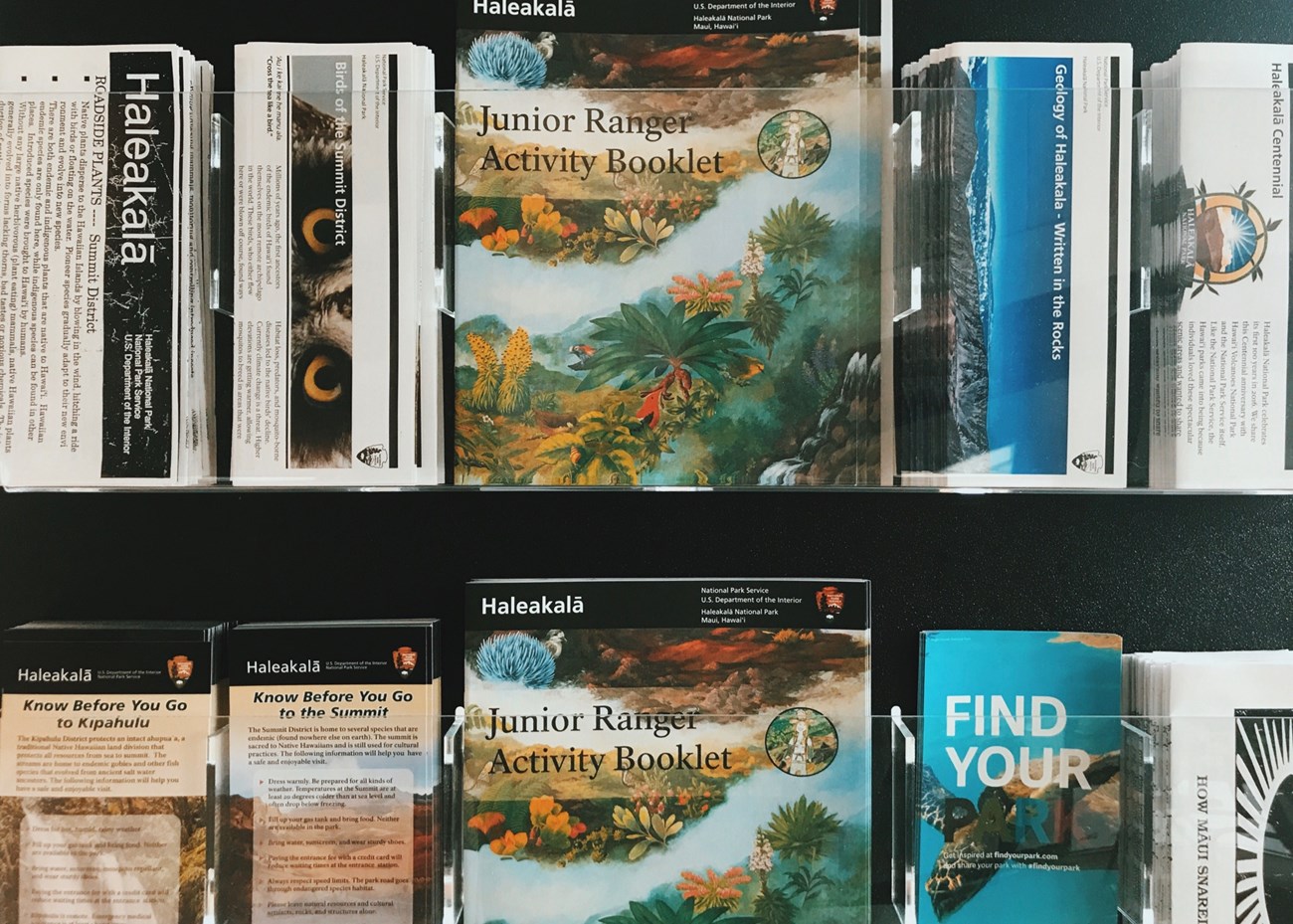 A rack of brochures available at the visitor centers.