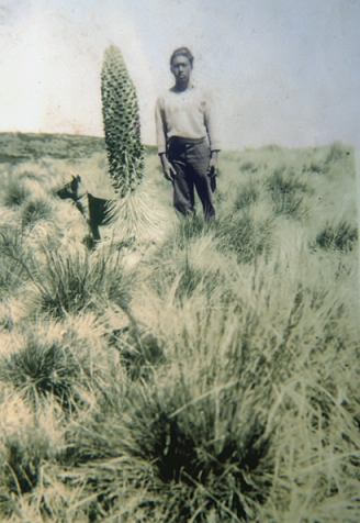 Man with silversword