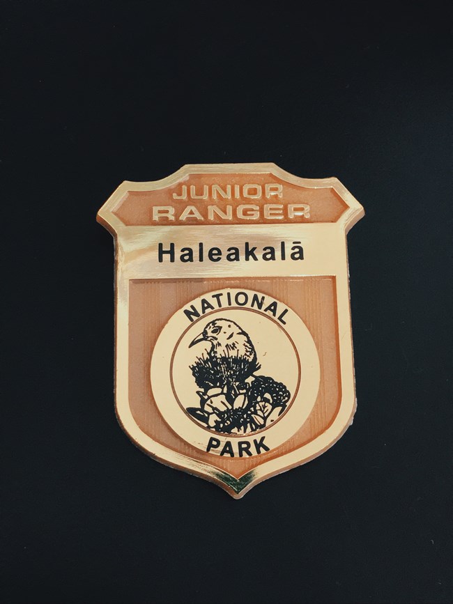 Junior Ranger Badge Junior Ranger Badge