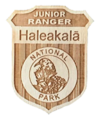 Wooden junior ranger badge for Haleakalā National Park