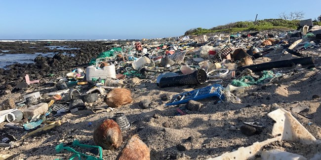 Marine debris on Kamilo Beach on Hawai'i Island