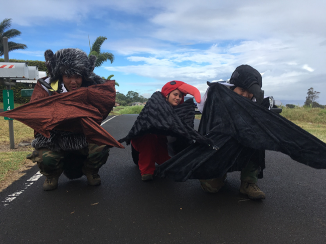 'Ōpe'ape'a (Hawaiian Hoary Bat), 'I'iwi (Hawaiian Honeycreeper), 'Ua'u (Hawaiian Petrel) costumes