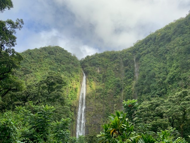 Lush green vegetation frames the Waimoku Falls as they cascade over the cliff.