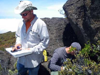 Park's vegetation management crew monitors endangered plant outplantings