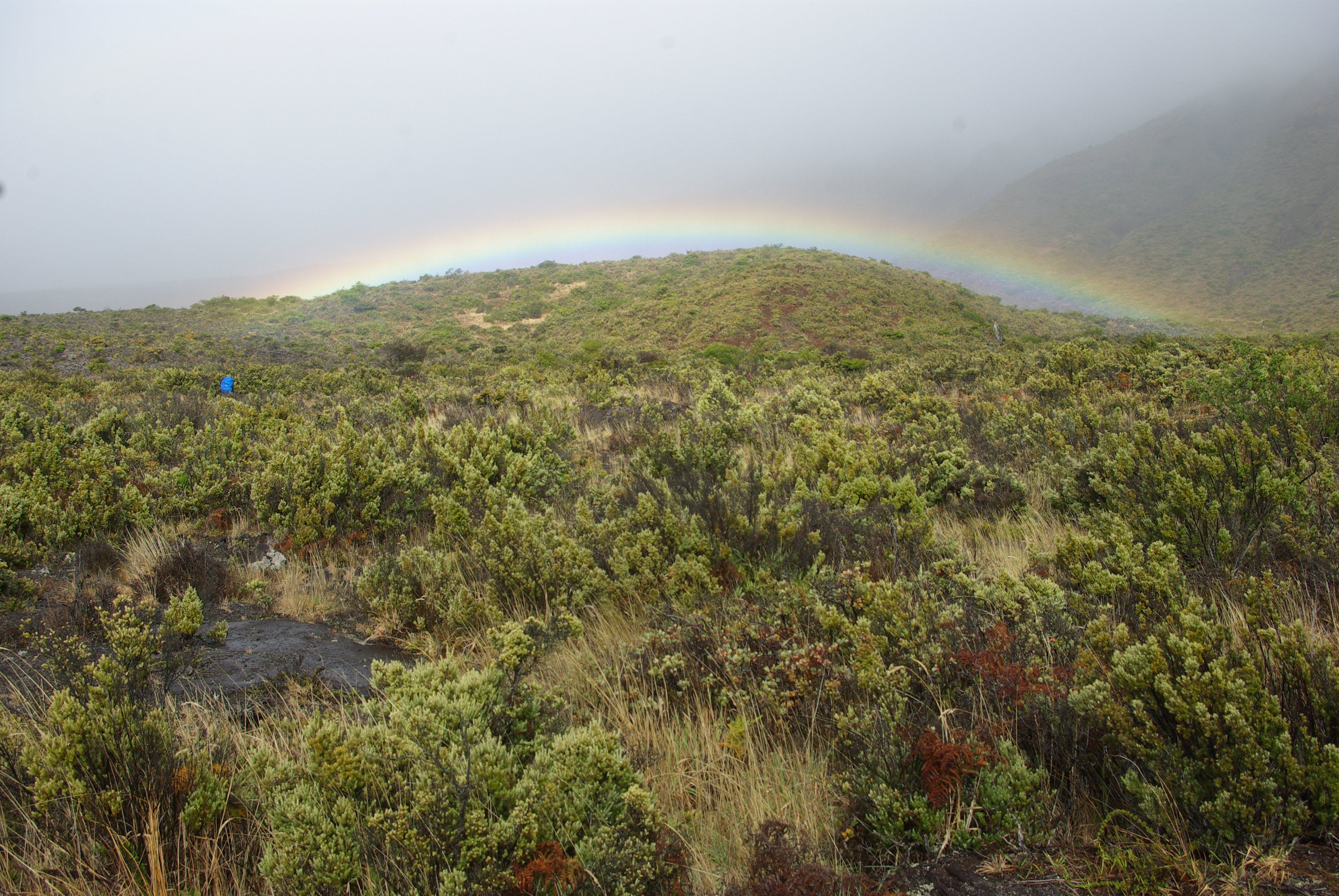 Natural Features & Ecosystems Haleakalā National Park (U.S. National
