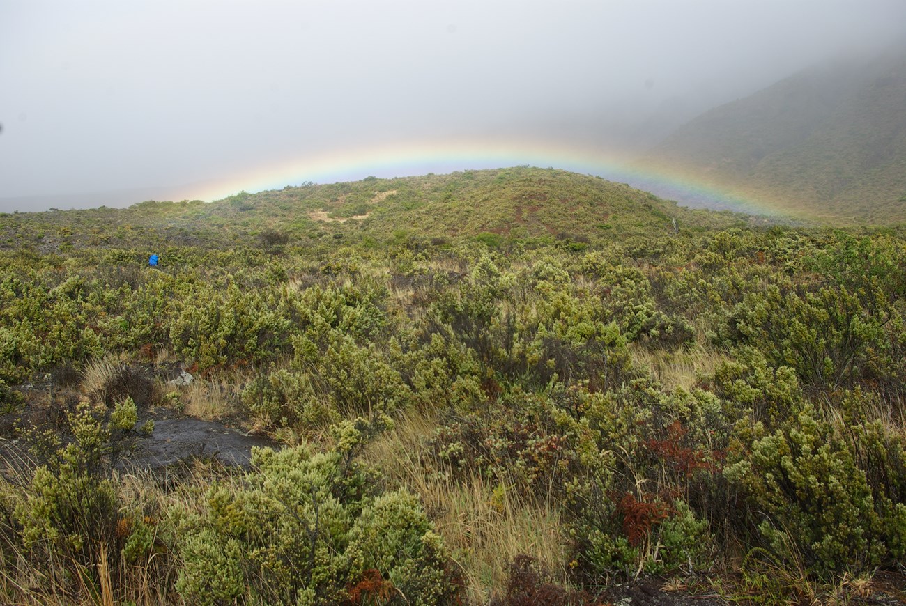 Crater rainbow and shrubland