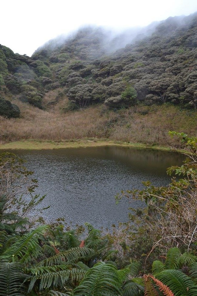 A lake within the Kīpahulu Biological Reserve.