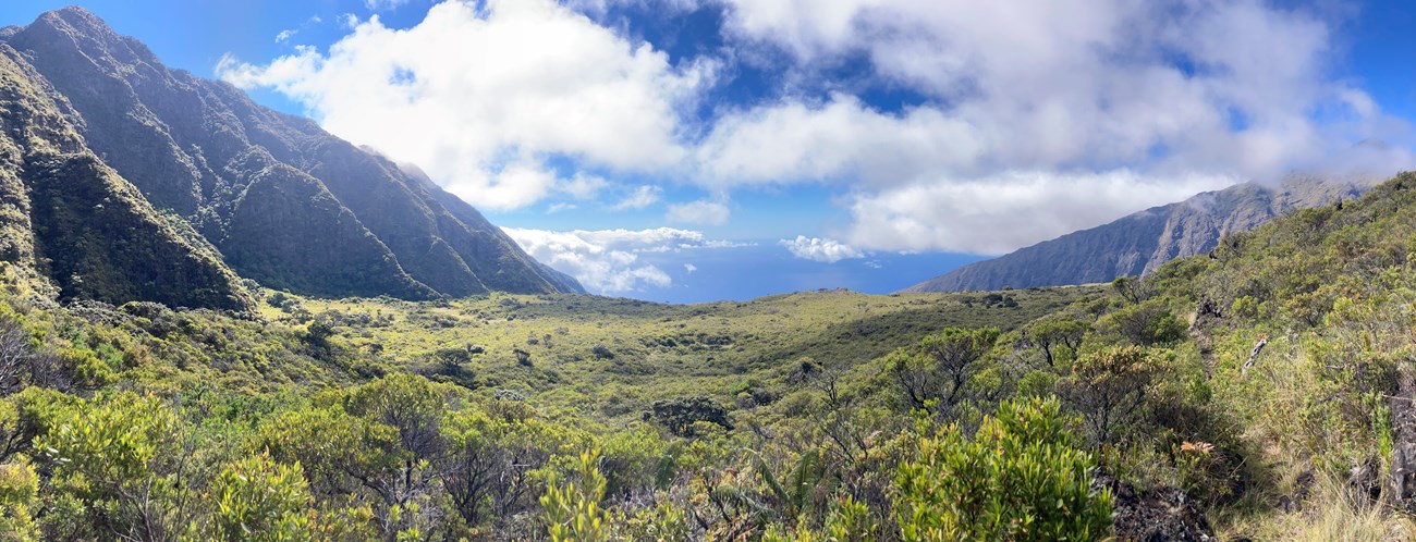 valley with cliffs on either side full of greenery and view down to the ocean