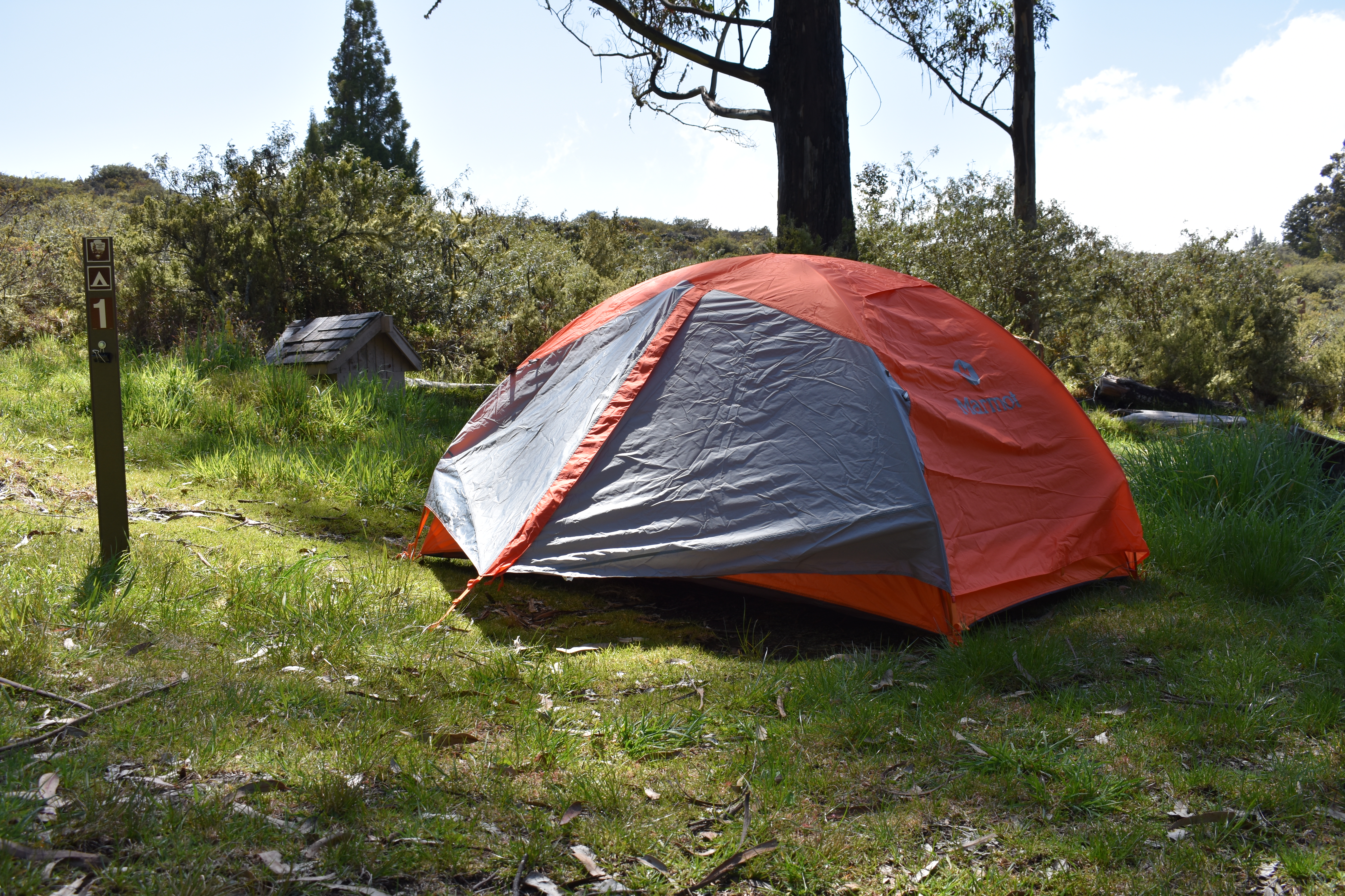 camping tent in grassy area next to brown sign.