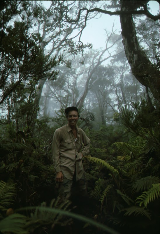 Patti Welton in Upper Kipahulu 1993 NPS Photo Woman stands in ferns.