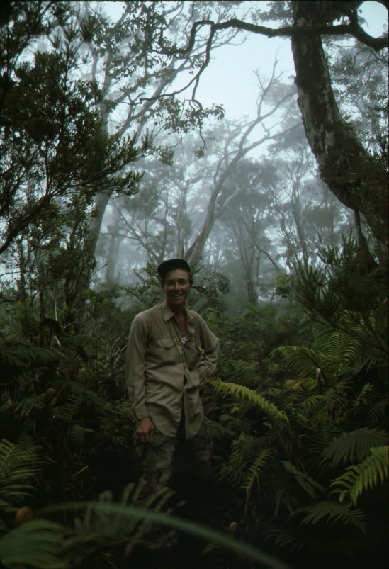 Woman stands in ferns.