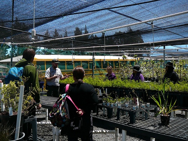 Greenhouse