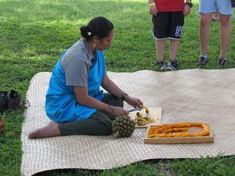 krause lei demo