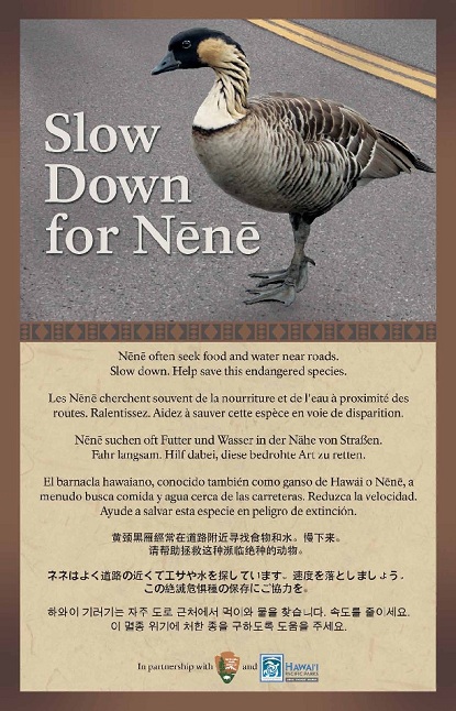 Nēnē poster