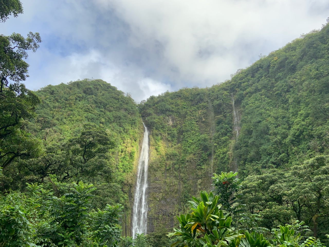 NPS Photo Waimoku Falls A large waterfall over a cliff with lush green foliage that surrounds it