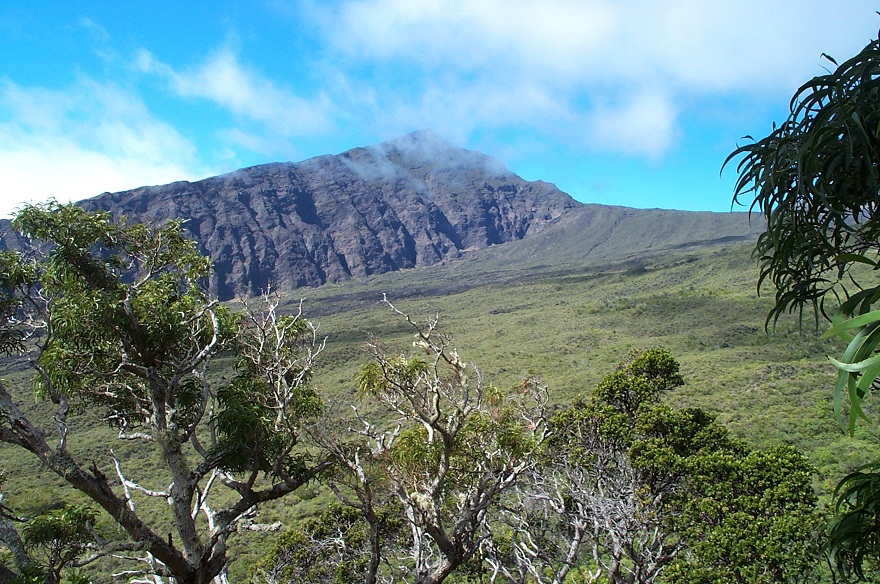 Kaupo