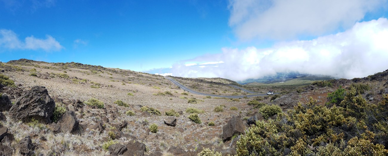 rock and shrub landscape with winding road and clouds