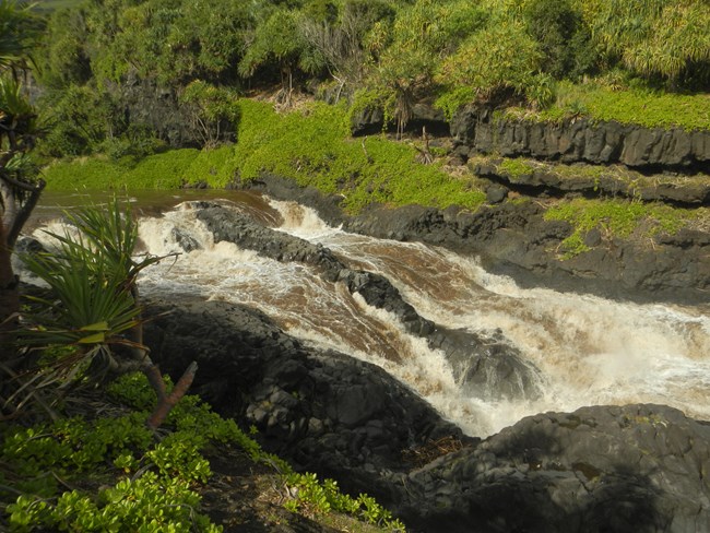 A waterfall and river with whitewater and high levels of water. The river is surrounded by green vegetation.