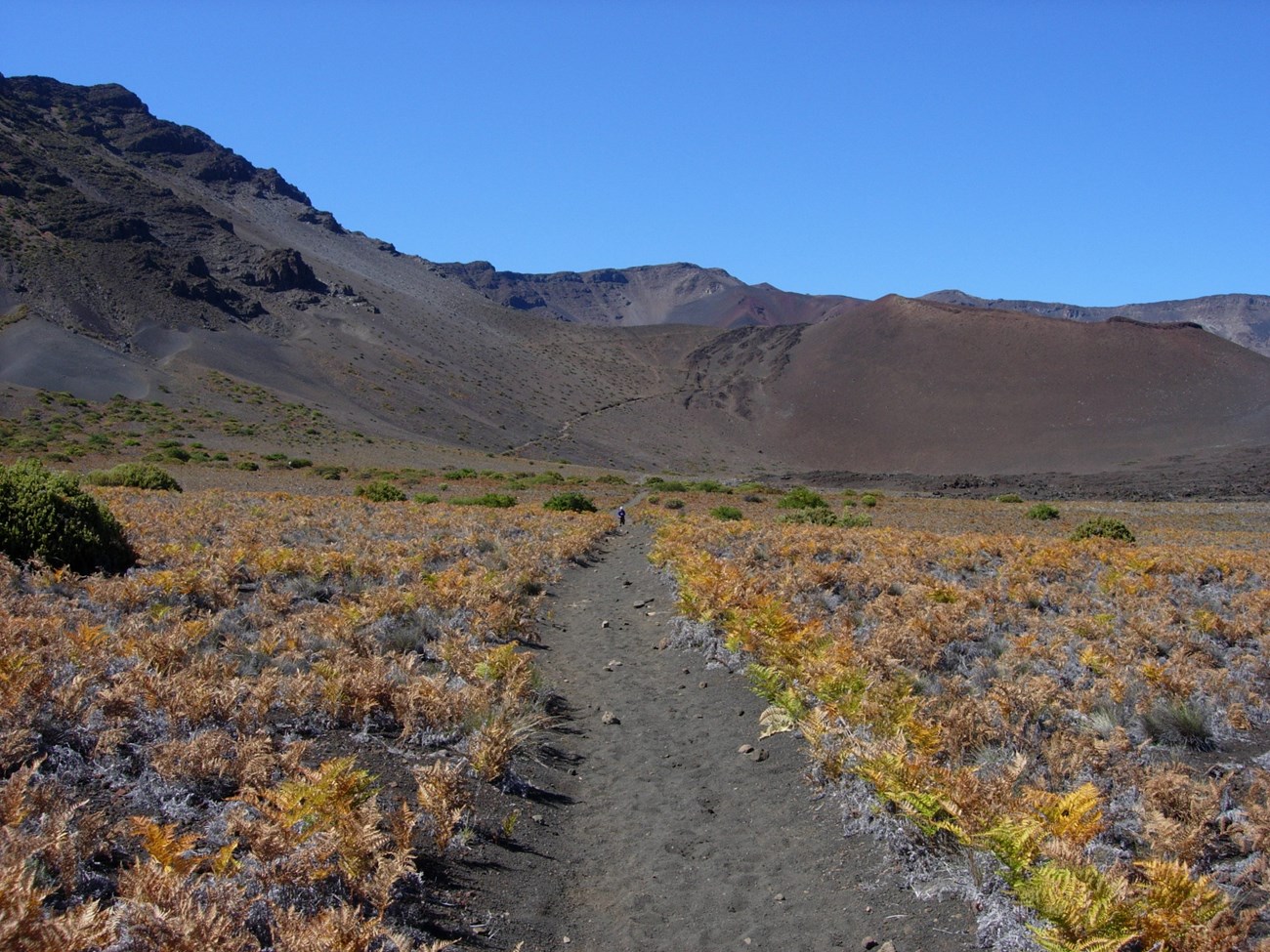 Looking back towards Keonehe'ehe'e (Sliding Sands Trail)