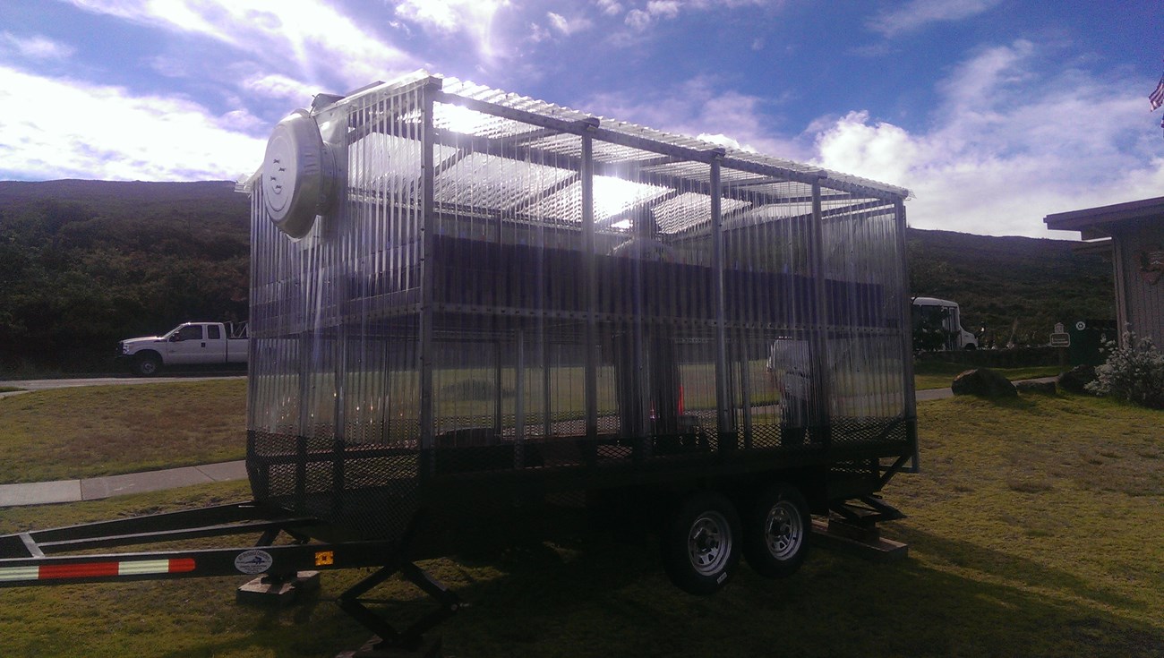 Greenhouse