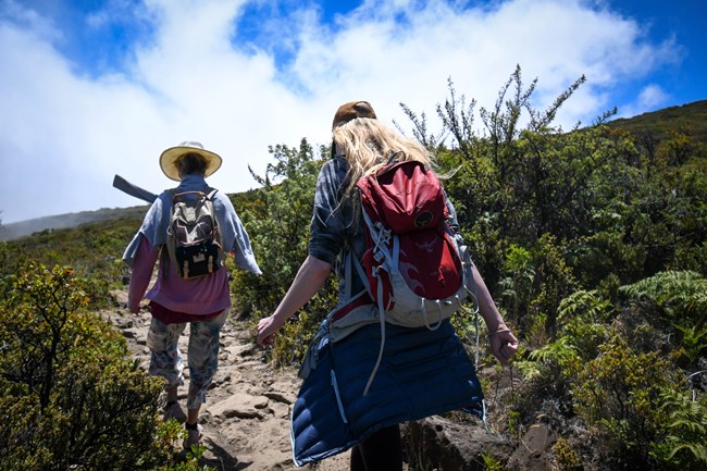 Two people hike away from the camera on a dirt and rock trail with green, shrubby vegetation along the sides.