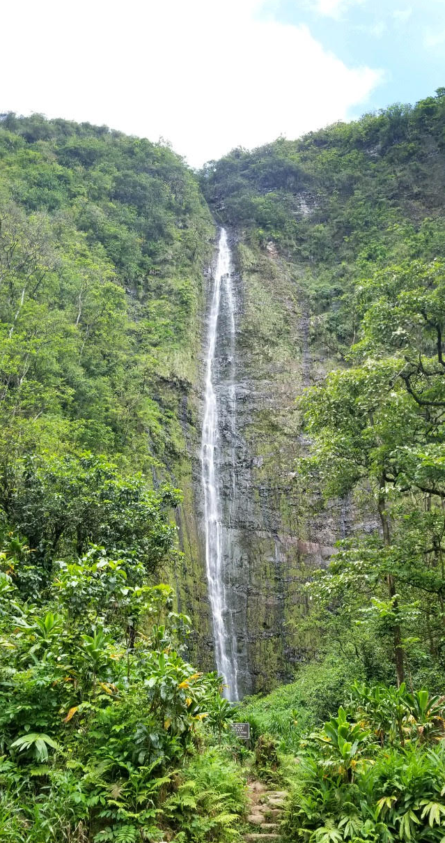 Waimoku Falls Waimoku Falls