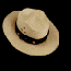 Ranger Hat