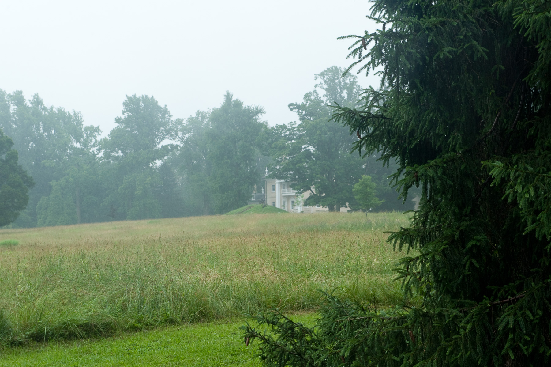 A view of the Hampton mansion in the distance with fog.