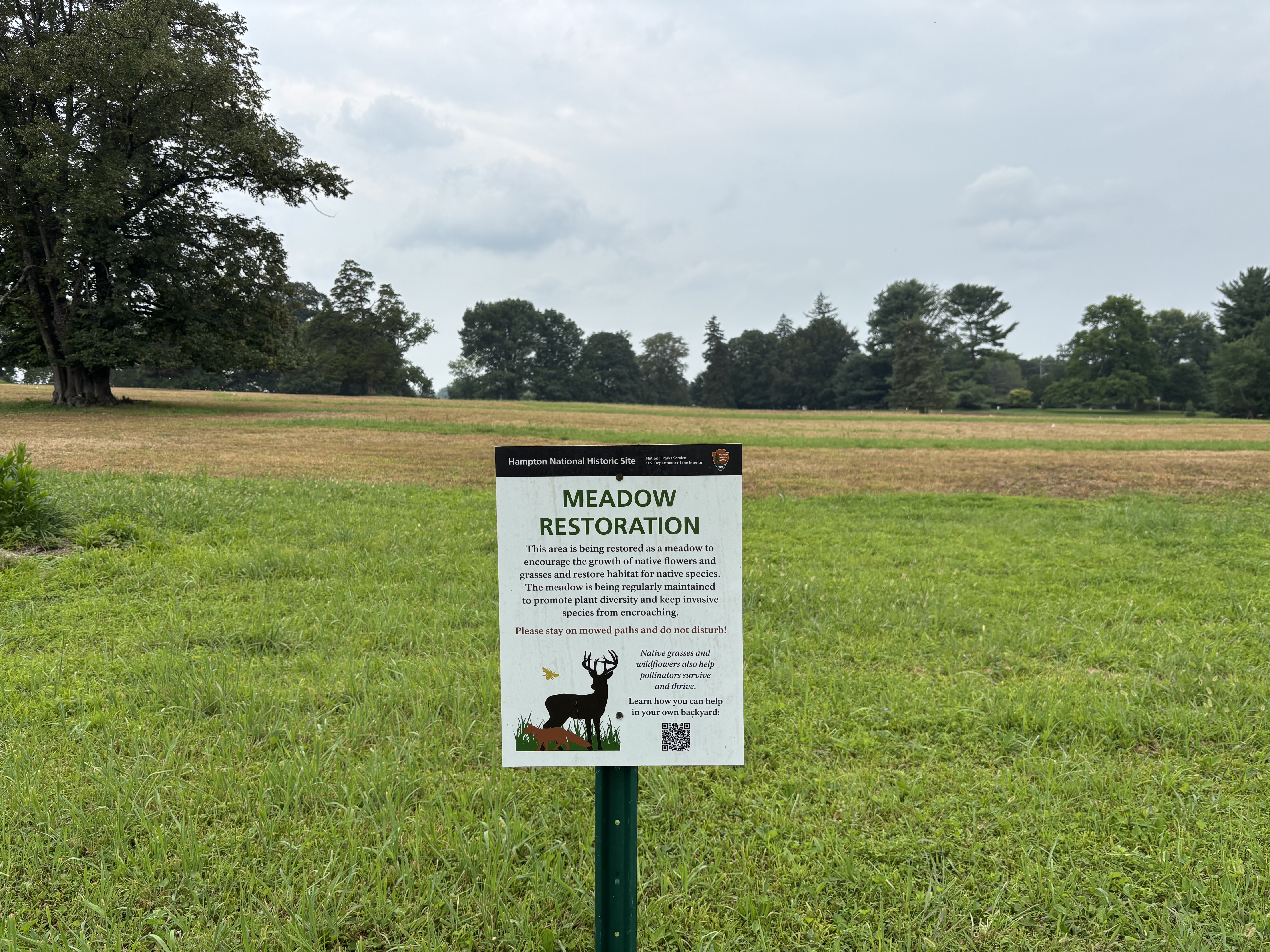 Meadows - Hampton National Historic Site (U.S. National Park Service)