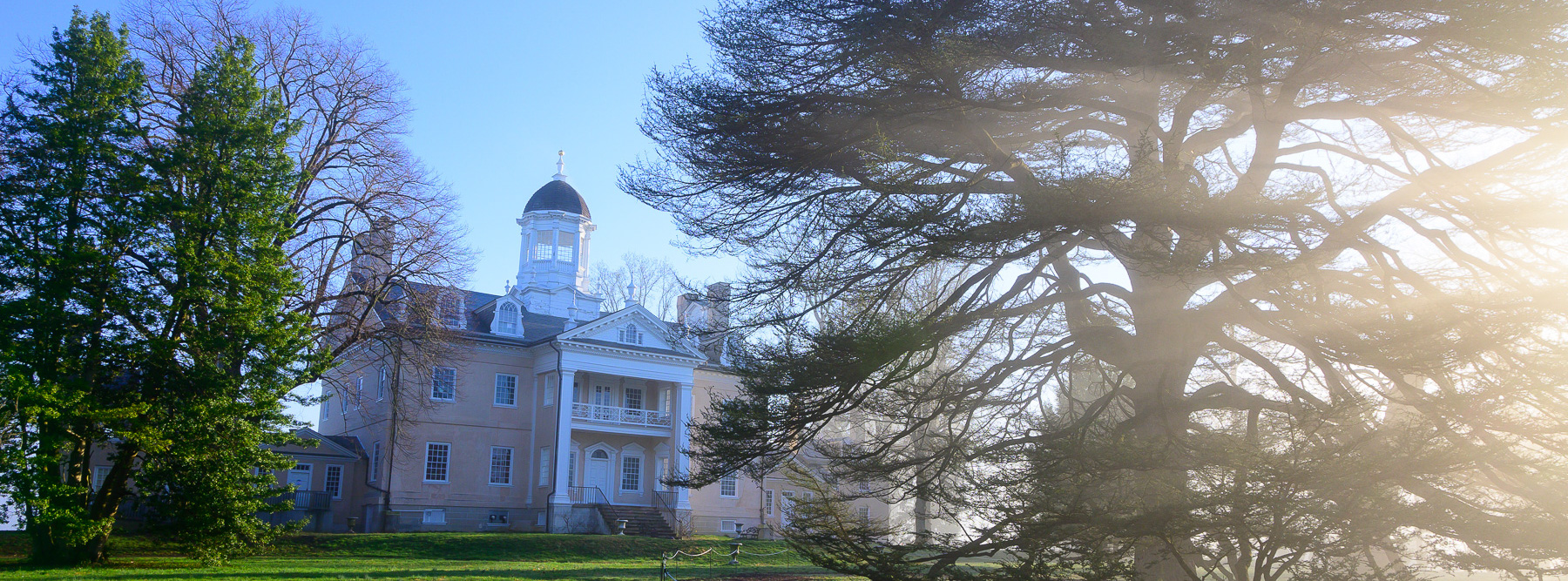 Hampton mansion and Cedar of Lebanon on a foggy morning Hampton mansion and Cedar of Lebanon on a foggy morning