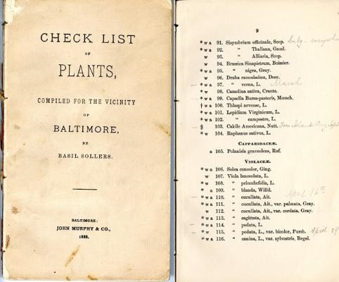 yellowish cover of book with black writing