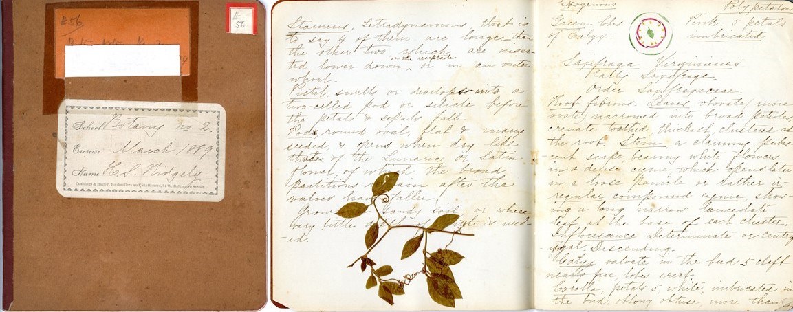 brown book cover with yellowish pages and light writing