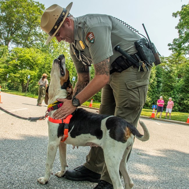 Ranger petting dog at Hampton NHS