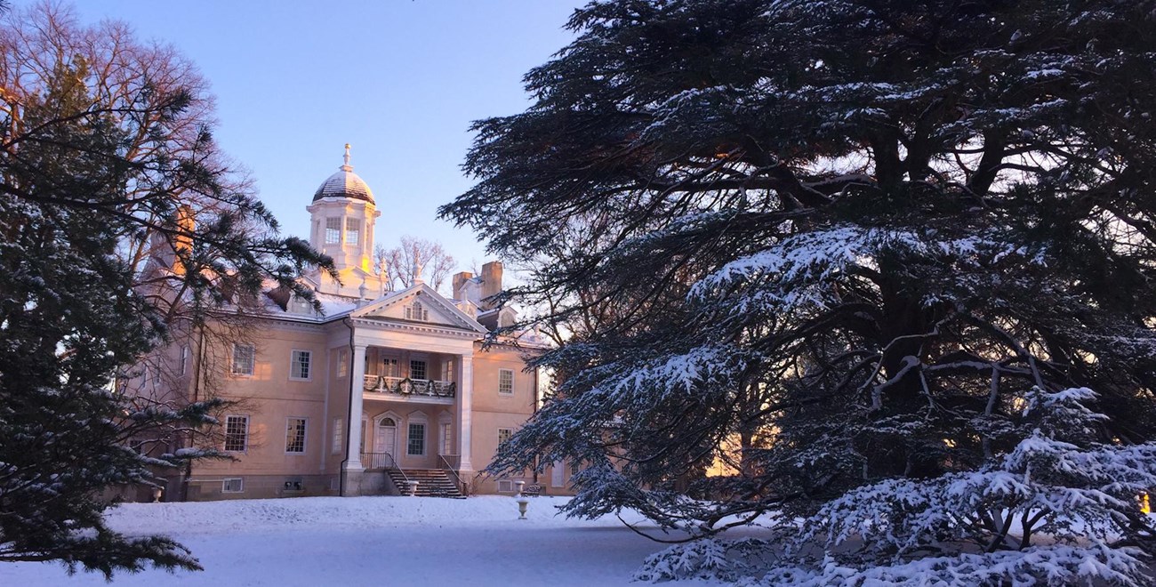 Hampton mansion with snow-covered cedar in foreground