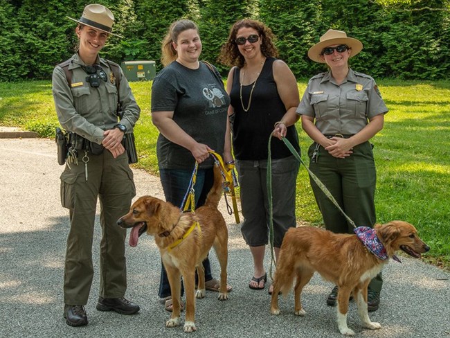 2 Rangers and 2 visitors outside of Hampton NHS with their dogs on leashes. Beautiful sunny day.