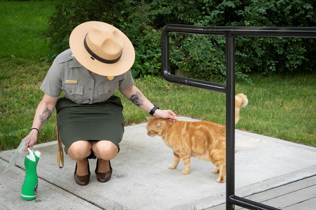 A woman in a ranger uniform crouches and pets an orange striped cat.
