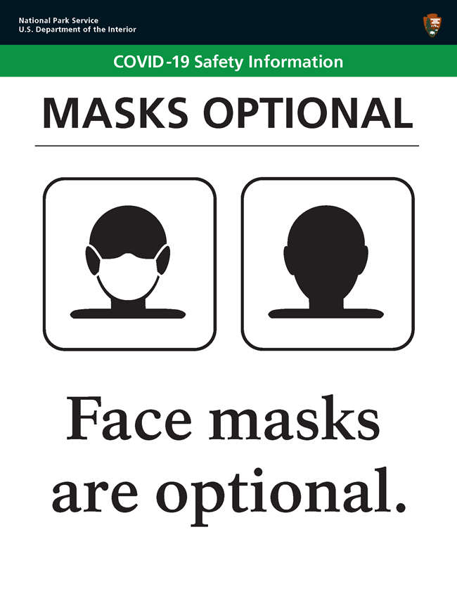 Masks Optional A picture of a masked person with the words "Face masks are optional" underneath.