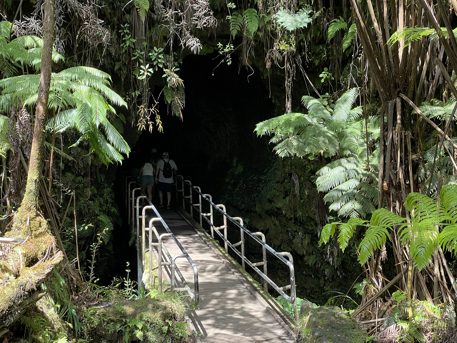 Nahuku open Visitors walking across a bridge into a dark cave opening surrounded by lush green vegitation.