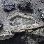 Student Archeology Programs
